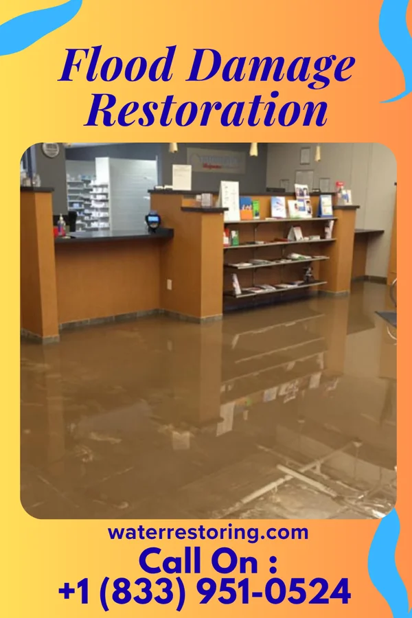 Flood Damage Restoration in Thompsonville, IL