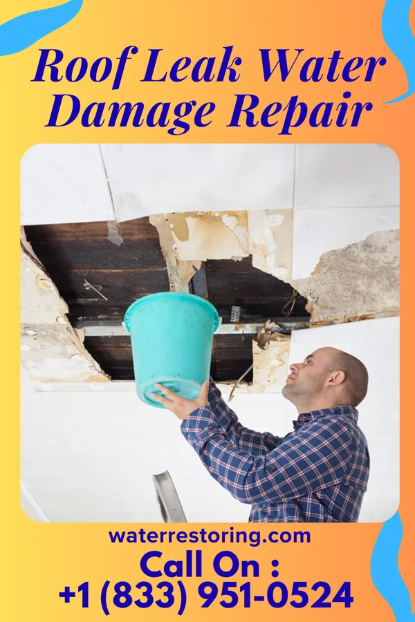Roof Leak Water Damage Repair in Thompsonville, IL