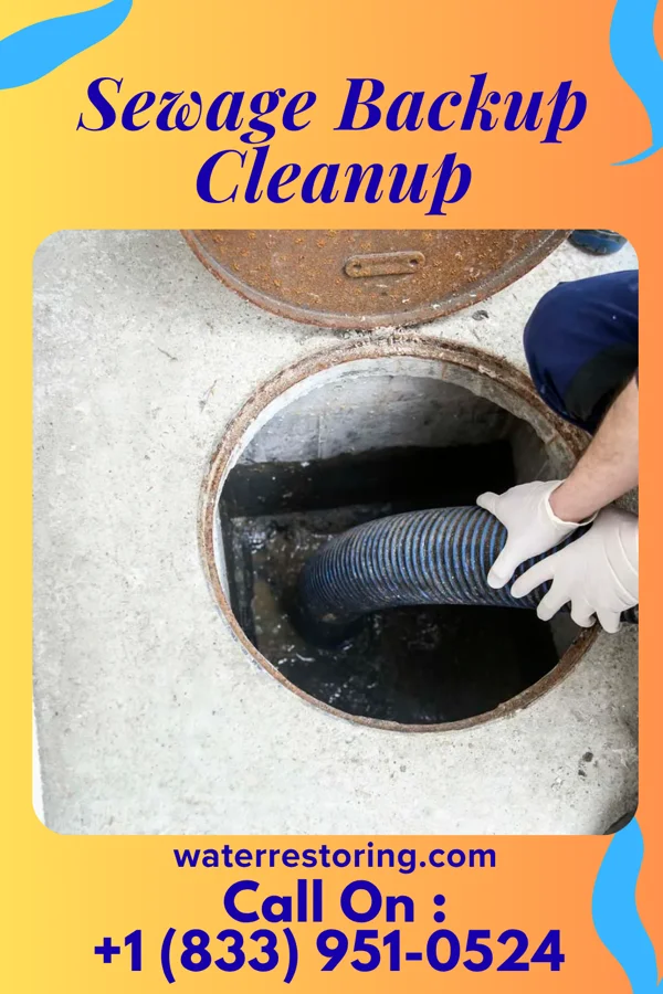 Sewage Backup Cleanup in Thompsonville, IL